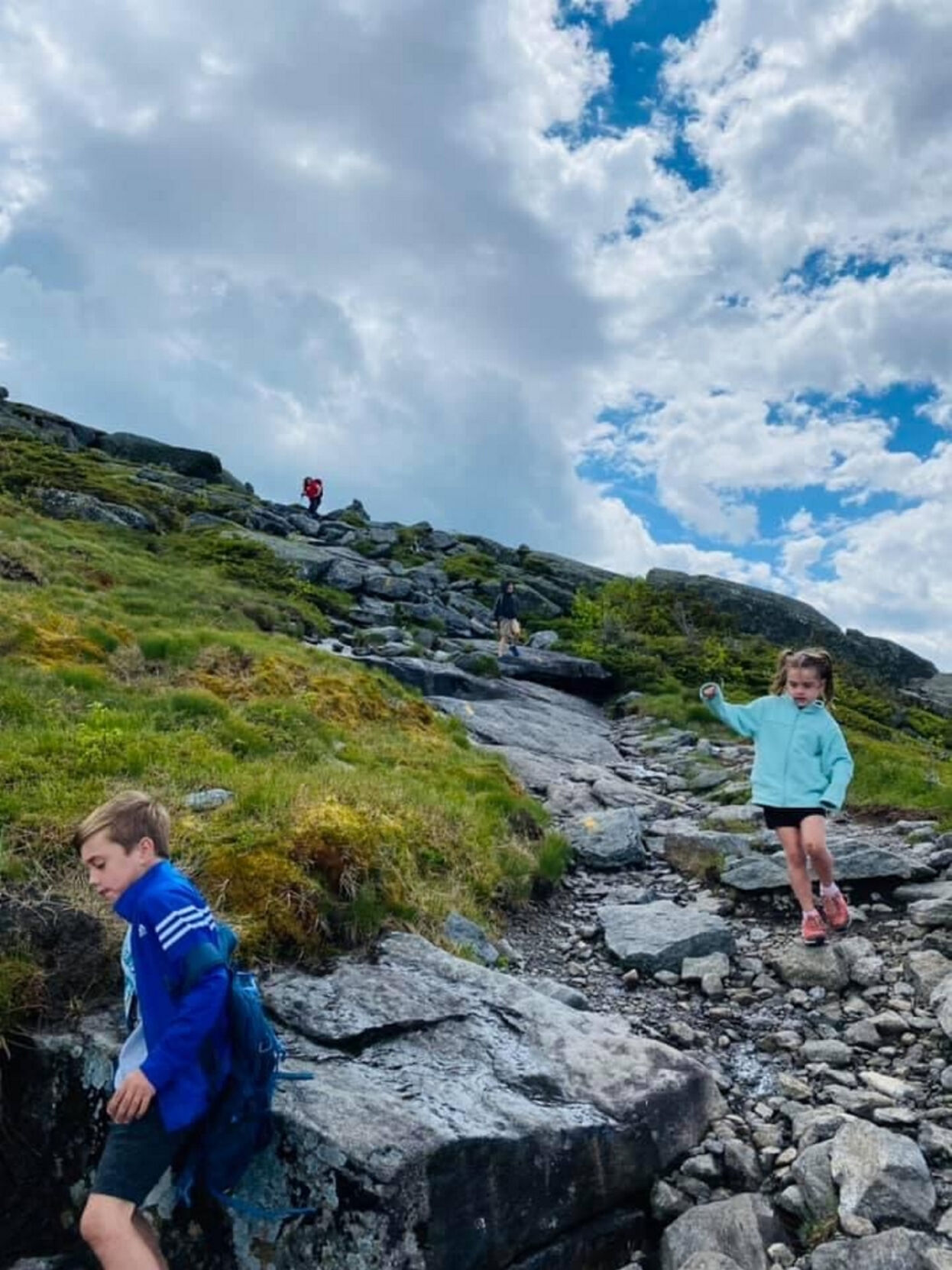 A climbing clan